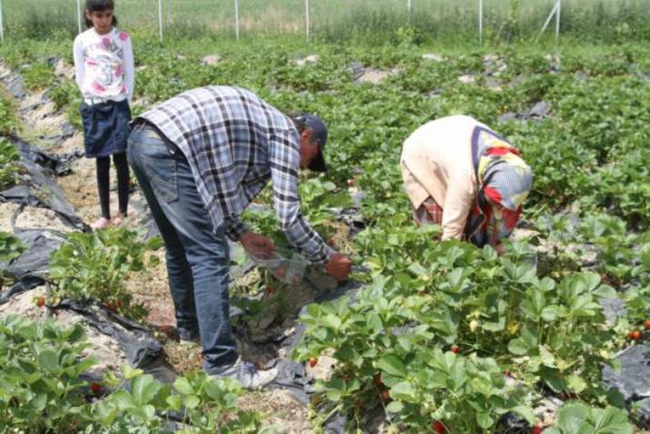 Hobi Olarak Başladılar İhracat Yapmayı Hedefliyorlar